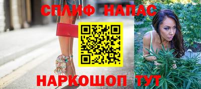сатива Конаково