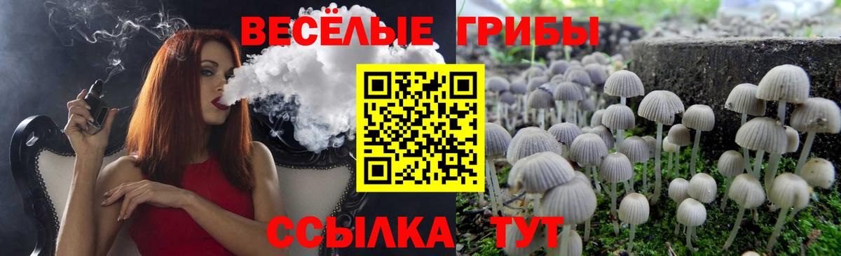 Галлюциногенные грибы MAGIC MUSHROOMS  Вход с VPN  наркошоп  Барабинск 
